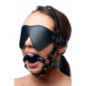 Blindfold Harness and Ball Gag