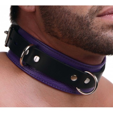 Strict Leather Deluxe Purple and Black Locking Collar