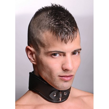 Straight Up Padded Locking Posture Collar