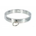 Chrome M/L Slave Collar