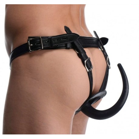 Ass Holster Anal Plug Harness