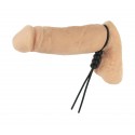 4-Way Adjustable Black Cock and Ball Tie