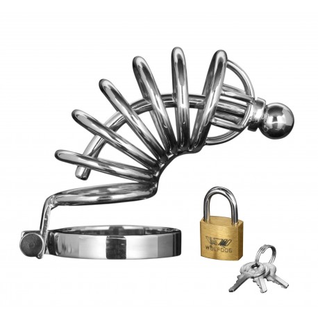 Asylum 6 Ring Locking M/L Chastity Cage