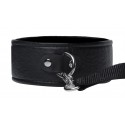 Frisky Beginner Leash and Collar set