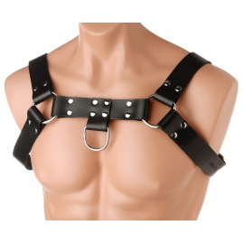 English Bull Dog Harness