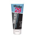 Stroke 29