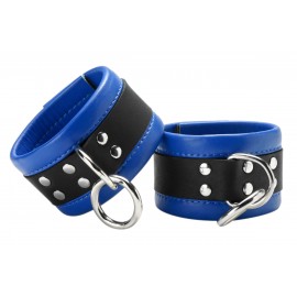 Blue Mid-Level Leather Ankle Restraint