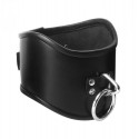 Strict Leather Large Locking Posture Collar