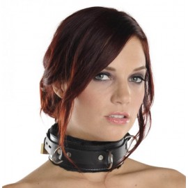 Strict Leather Premium Fur Lined Locking Collar - SM