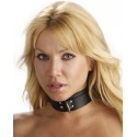 Strict Leather Standard Lined Collar