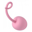 Pig Tail Silicone Anal Plug