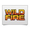 Wildfire